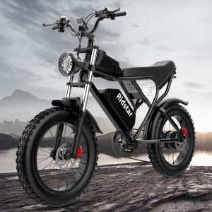 Quality 20 X 4.0 Fat Tire 1000W Electric Bicycle 48V 20AH Steel Frame Electric Bike for sale