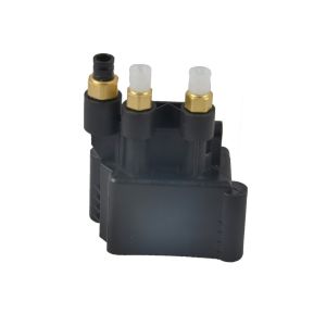 OEM 2513200058 Air Compressor Valves Air Suspension Pump Kit for Mercedes Benz W251