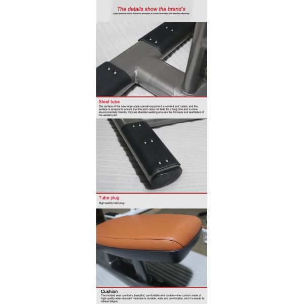 ISO Commercial Grade Gym Equipment Mold Cushion Dumbbell Bench Weights Machine