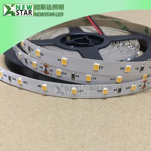 China Constant current Warm White 2700k 60leds/m 2835 dc24v LED Strip DC12V LED Ribbon without brightness drop on sale