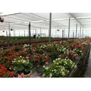 Quality 8m*4m Dimenison Garden Glass Greenhouse Easily Assembled Highly Durable for sale