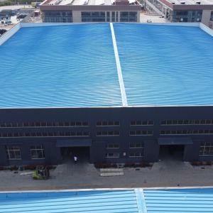 Multi Span Steel Structure Warehouse with 50-Year Lifespan