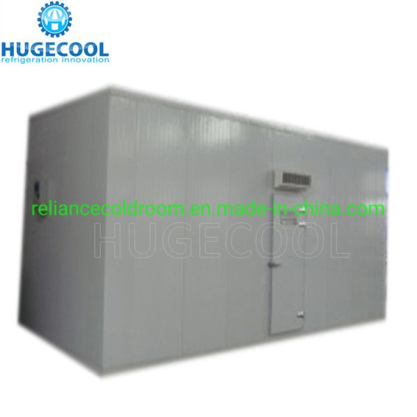 Buy COLDROOM17 CE Certificated Deep Freezer Room Blast Freezer for Meat Pork Fish Seafood at wholesale prices