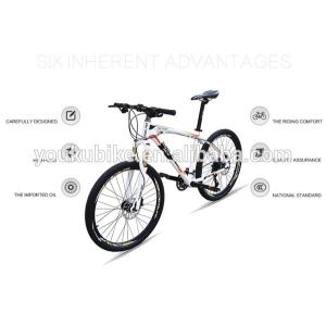 Full Suspension 29 Inch Lightweight Aluminum Mountain Bike