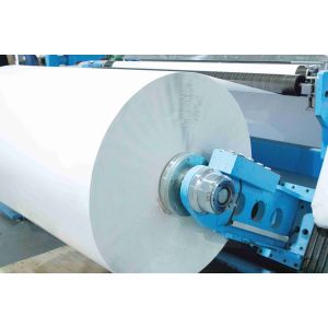 Self Adhesive Sticky Back Paper Roll , Matte PET Waterproof Roll Labels