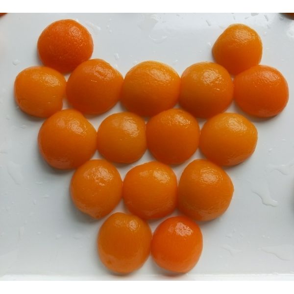 Buy Cholesterol Free Canned Apricot Halves with 17g Sugars at wholesale prices