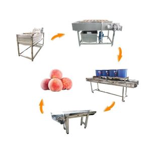 Hot selling Automatic Tomato Processing Line Cleaning Machine by Huafood