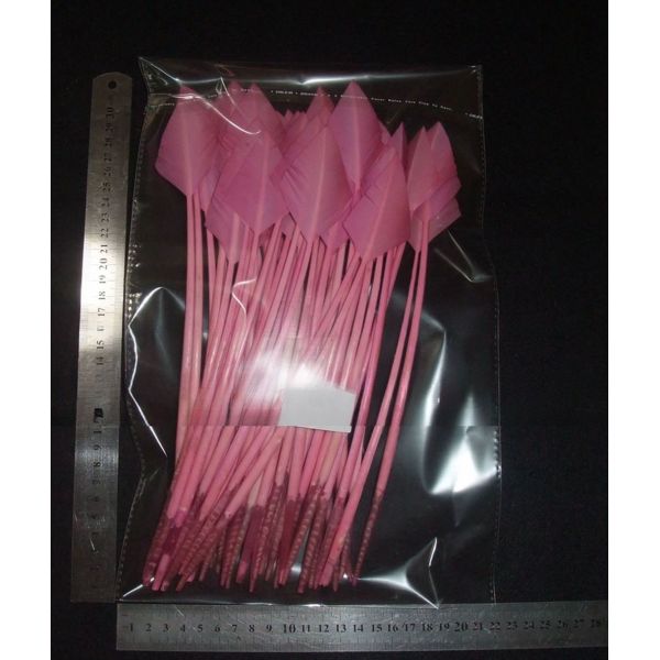 Dyed Arrow Head Striped Turkey Feather Quill with Silk Screen Printing