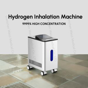 SPE Hydrogen Breathing Machine Prevention Degenerative Diseases WEIZI