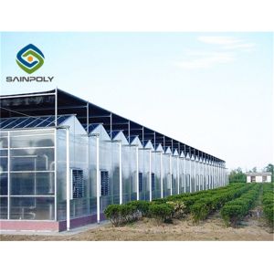 Commerical Arch Roof 8m 12m PC Sheet Greenhouse