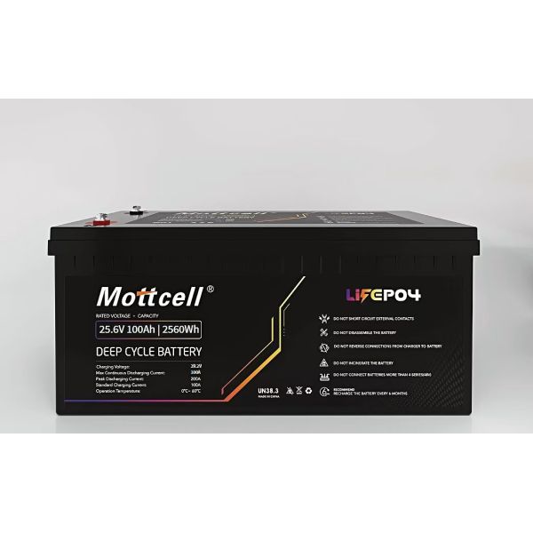 Buy Lithium Ion Phosphate LiFePO4 Rechargeable Battery Power Pack 24V 100A 24V Charge Current at wholesale prices