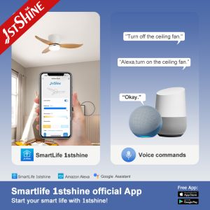 Low Ceiling Room Small LED Ceiling Fan With Plastic Blades And Remote Control