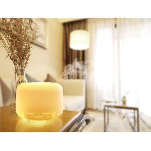 HOMEFISH Ultrasonic Aroma Humidifier Diffuser Humidistat DC 24V 0.5A