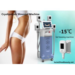 Quality CE approved 12 inch 4 handles Venus freeze permanent fat reduction slimming machine / freeze beauty slimming for sale