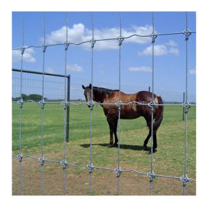 Metal Frame Farm Fence Galvanized Fixed Knot Field Wire Hinge for Cattle Horse
