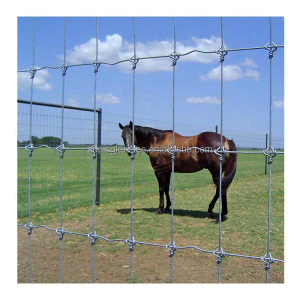 Metal Frame Farm Fence Galvanized Fixed Knot Field Wire Hinge for Cattle Horse