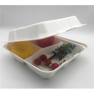 8 Inch 38g Clamshell Biodegradable To Go Containers