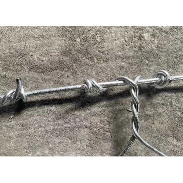 Gabion Mesh (6cm x 8cm) | Perfect for Gardening and Landscaping, Hot-Dipped Galvanized