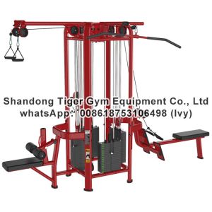 Gym Fitness Equipment Single / Three / Four / Five / Eight Station Multi-Jungle