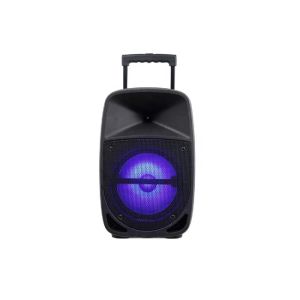 8'' Woofer Rechargeable Trolley Speaker Lead Acid 12V 4.5A Battery GLSPA