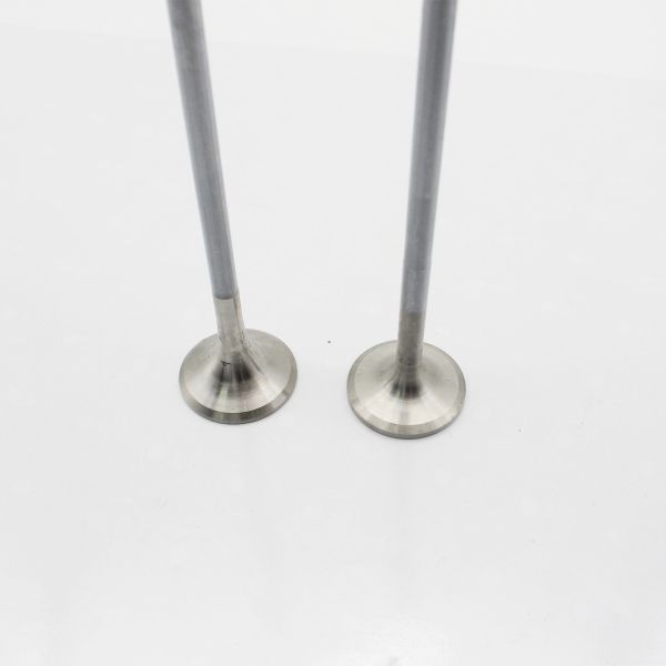 Diesel Engine ID12D Inet Exhaust Valves For Excavator Volvo EC360BLC EC460BLC Spare Parts