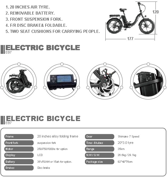 EB7 Removable Battery Fat Tire Electric Bike With Two Seats