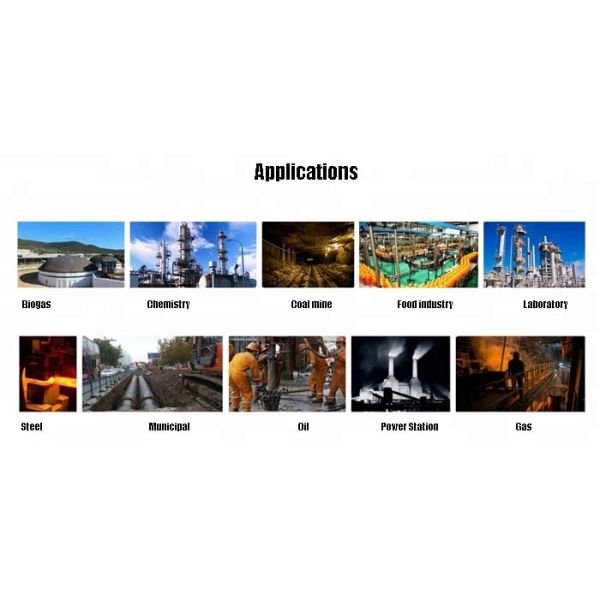 Customized K60B Portable Gas Detector Single Type With Bluetooth Function