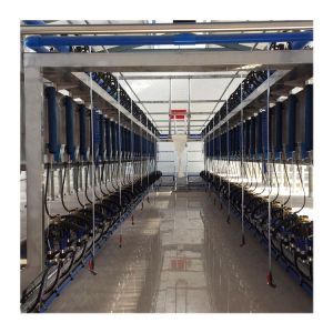 ACR Cow Milking Machine Automatic Milking System Dairy Farm