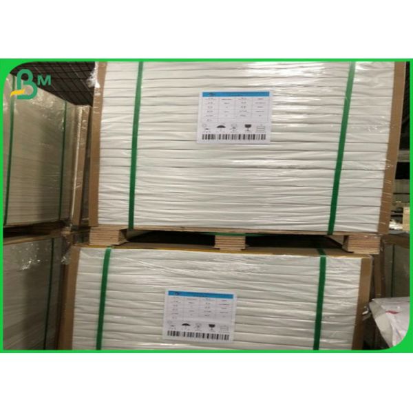 FSC 55G 60G 70G 80G 100G Wood Free Offset Paper Sheet Or Roll Custom Service