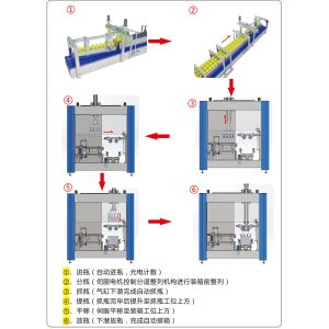 4KW Fully Automatic Carton Packing Machine 8cartons Min