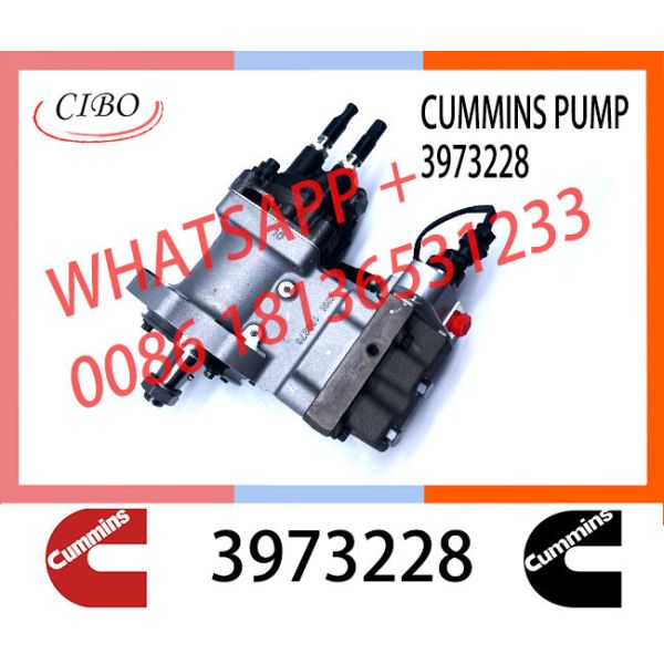 Cumminss Engine Parts QSL Diesel Fuel Injection Pump 3973228 4954200 2872191 4902731 2872930 4921431