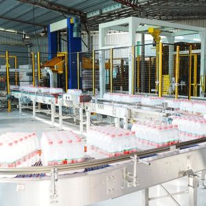 Double Channel Gantry Palletizer with Paper Dividers for Soft Drinks Packaging Lines