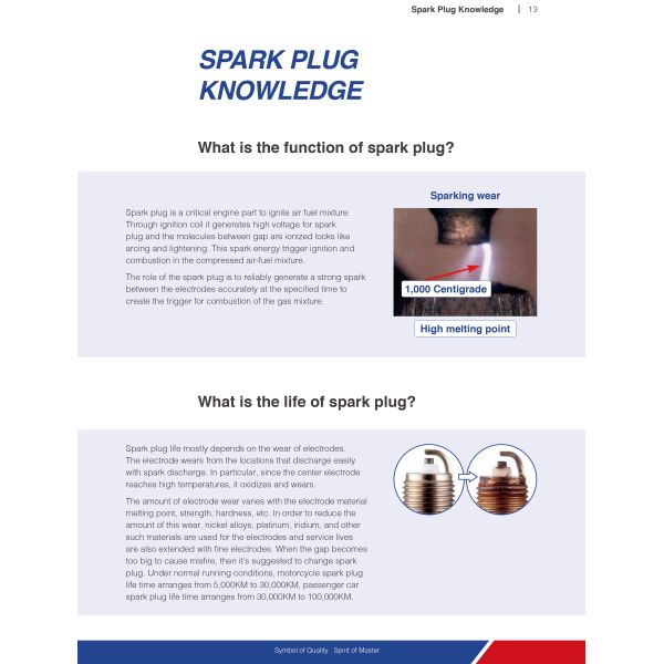 Prechamber Generator Spark Plug ONE471 - 12453315 TCG 2020 BIOGAS