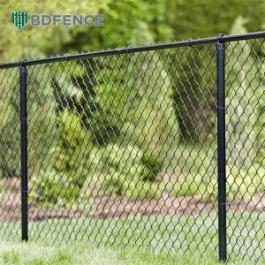 School Farm Chain Link Fence Cultivation