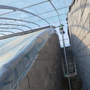 Cold Area Winter Passive Solar Greenhouse Plastic Film Single Tunnel