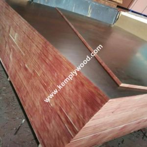 One time hot press whole piece core black brown film faced plywood for sale