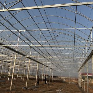 PE Strawberry Insulation Agricultural Greenhouses for Plants Growing and