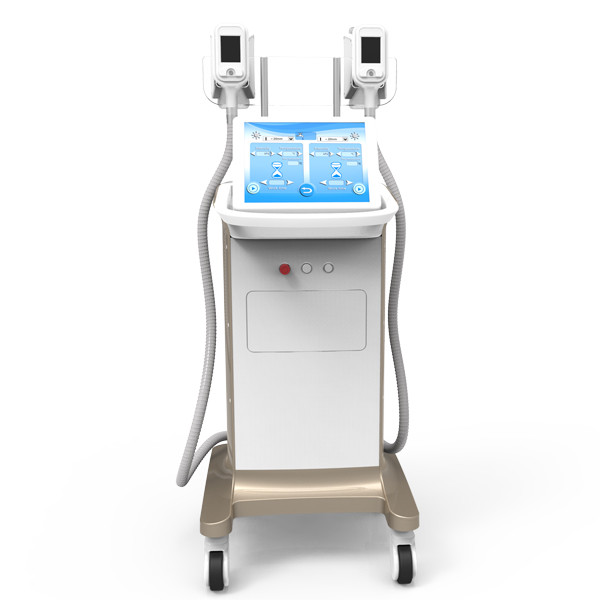 Buy laser fat reduction treatment non-surgical liposuction cryolipolysis slimming machines at wholesale prices