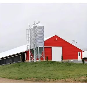 Prefabricated Steel Frame Poultry House with Fully Automated Chicken Farming