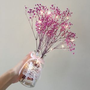 Waterproof White Battery Operated Christmas Lights 500 LED 50m Length