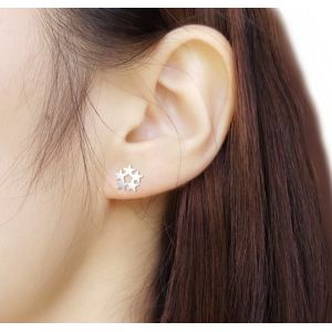 Customized Earring Surgical Stainless Steel Titanium Silver Gold Black Plated