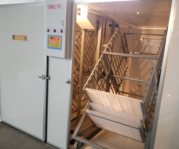 Buy Large Capacity Commercial Egg Incubator 10000 Eggs Pheasant Parrot Egg Hatching at wholesale prices