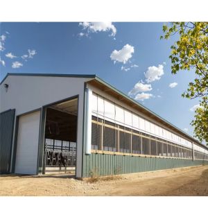 Weatherproof Prefabricated Steel Frame Farm Building Poultry House Easy Install
