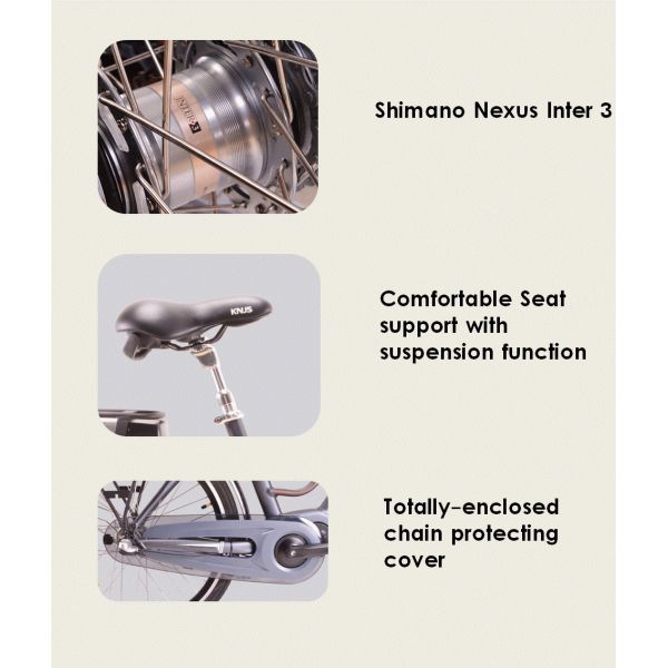 250W 36V Urban City Electric Bike 7.8Ah Samsung Cells