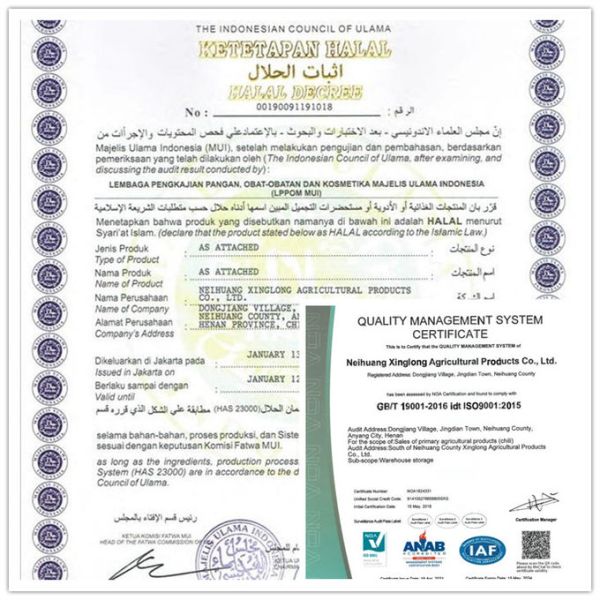 A Grade F1 Hybrid Chilli Seeds Sweet Paprika Pepper 15000SHU