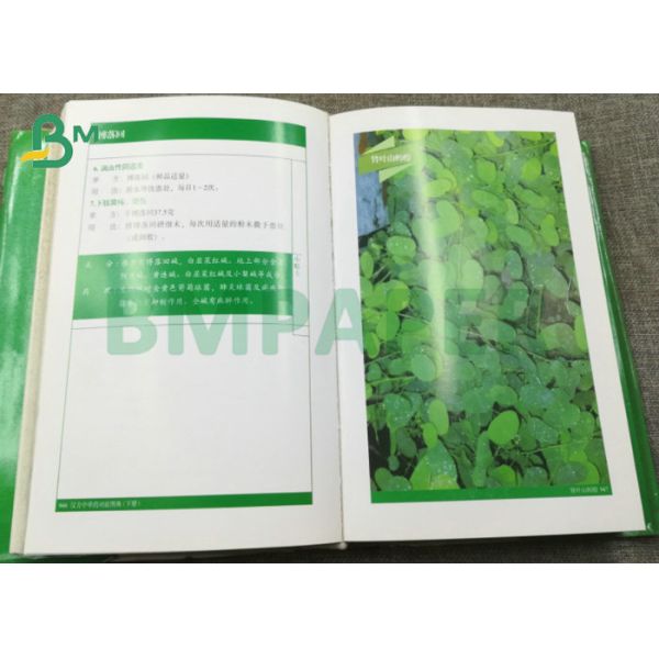 80lb 100lb C2S Two Side Glossy Cardstock For Magazine Cover 80lb 100lb C2S Two Side Glossy Cardstock For Magazine Cover