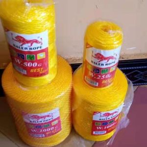 China 2mm 500G 1000G 2000G Agriculture PP Virgin Polypropylene Twine Rope on sale