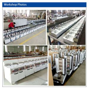 Professional Gas Powered Restaurant Cooking Equipment in Stainless Steel