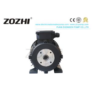 Three Phase 1400RPM IE3 24mm Hollow Shaft Induction Motor