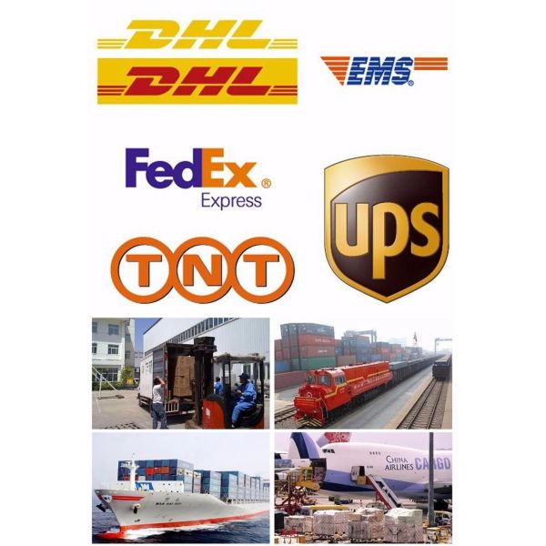 Front auto wheel hub bearing DAC29530037 Auto Bearing